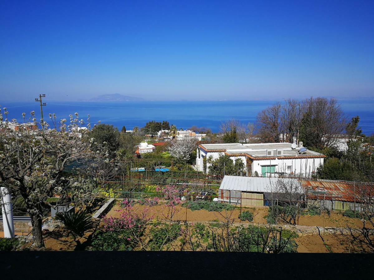 Maryhome Anacapri  Exterior photo